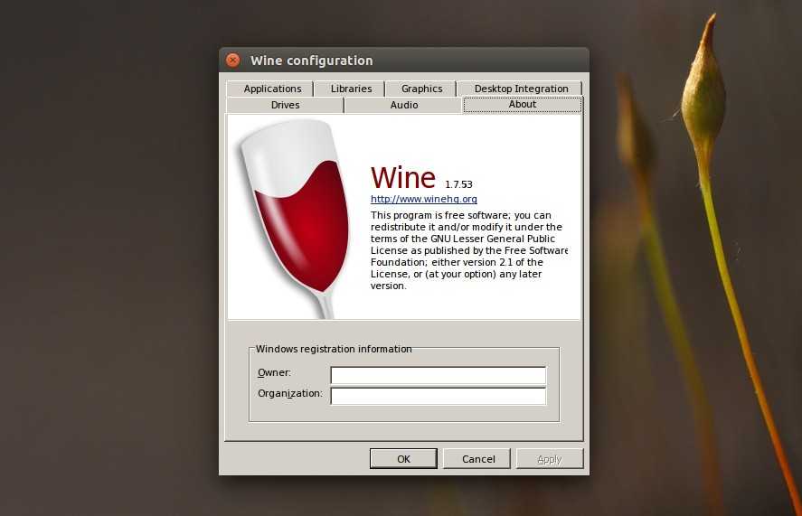 Как установить и использовать wine в ubuntu 20.04