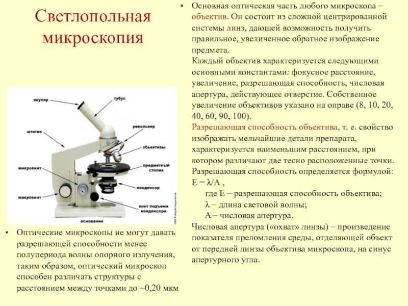 Поле микроскопа
